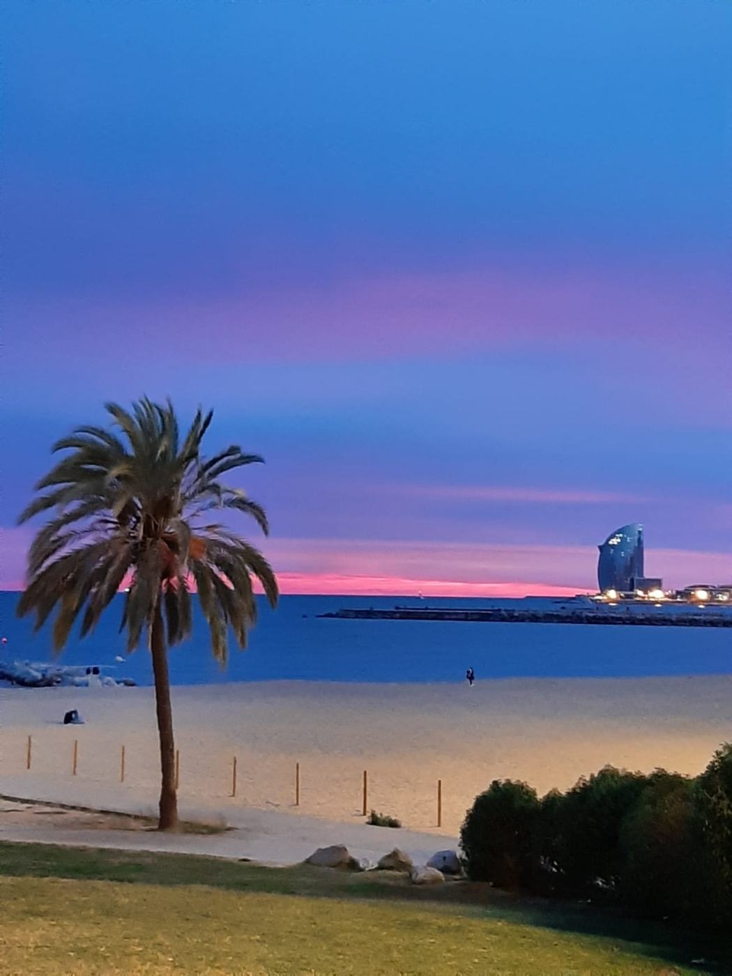An empty beach at dusk with a single palm tree and a city skyline in the distance.