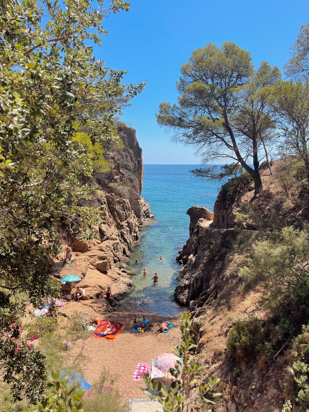 A quiet rocky cove on the Costa Brava with clear turquoise water framed by pine-covered cliffs.