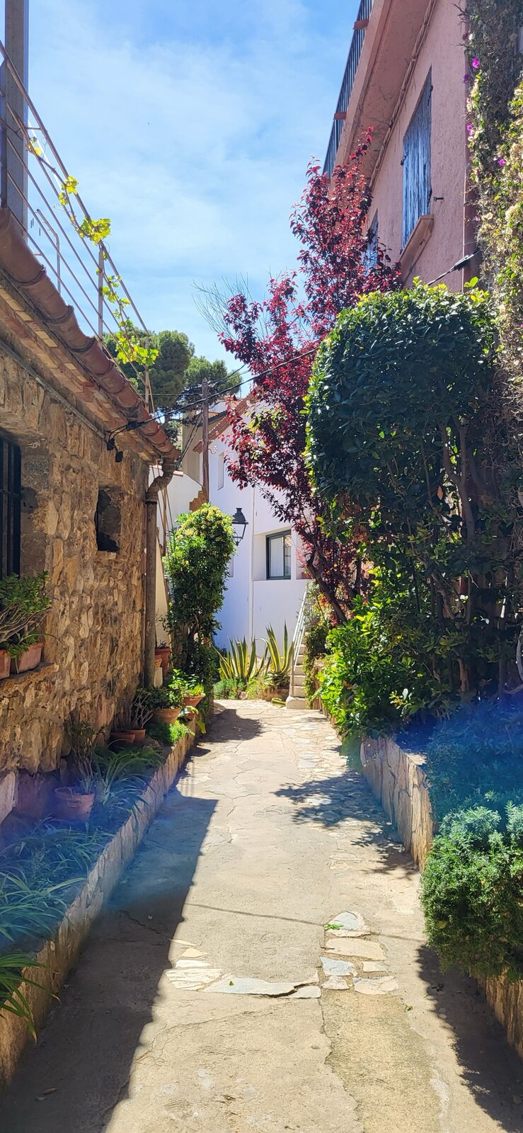 A narrow stone village alley with blue shutters and flowering plants along the walls.