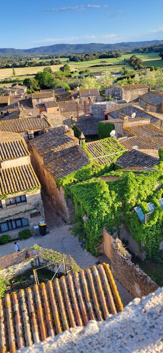 Aerial view of ivy-covered stone rooftops in a Catalan village.